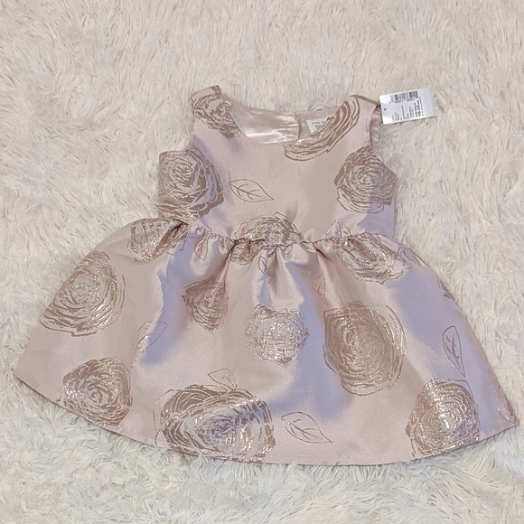 The Childrens Place Pink & Hold Roses Dress